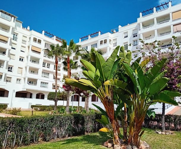Apartamento - Venta - Marbella - Nueva Andalucía