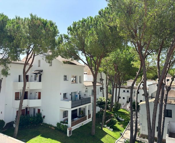 Apartment - Short Terms Rental - Marbella - Nueva Andalucia, Aloha