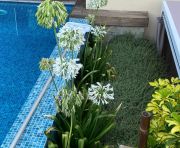 Долгосрочная аренда - Двухквартирный - Estepona - Selwo