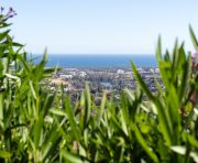 Försäljning - Villa - Benahavis - La Quinta