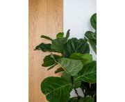 Försäljning - Villa - Mijas - El Chaparral