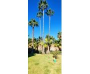 Korttidsuthyrning - Lägenhet - Benahavis - La Quinta