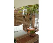 Краткосрочная аренда - Квартира - Marbella - Golden Mile