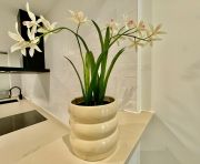 Long Term Rentals - Apartment - El Rosario