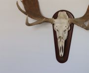 Продажи - Дуплекс-пентхаус - Marbella - Nueva Andalucia, Las Brisas