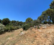 Продажи - Финка - Ronda