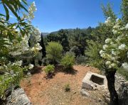 Продажи - Финка - Ronda