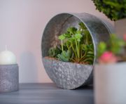 Продажи - Квартира - Benahavis - La Quinta