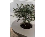 Продажи - Квартира - Benahavis - La Quinta