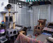 Продажи - Квартира - Marbella - Nagueles