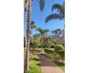 Продажи - Квартира - Marbella - Nueva Andalucía