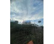 Продажи - Сюжет - Marbella - Nueva Andalucía