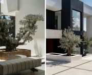 Продажи - Вилла - Marbella - Nagueles