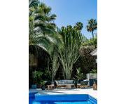 Продажи - Вилла - Marbella - Nueva Andalucía