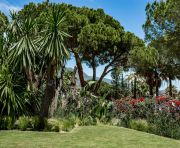 Продажи - Вилла - Marbella - Nueva Andalucía