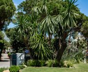 Продажи - Вилла - Marbella - Nueva Andalucía