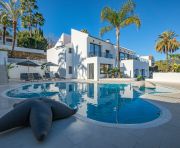 Продажи - Вилла - Marbella - Nueva Andalucía