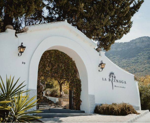 Сюжет - Продажи - Cartama - Cartama