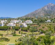 Venta - Chalet - Marbella - Sierra Blanca